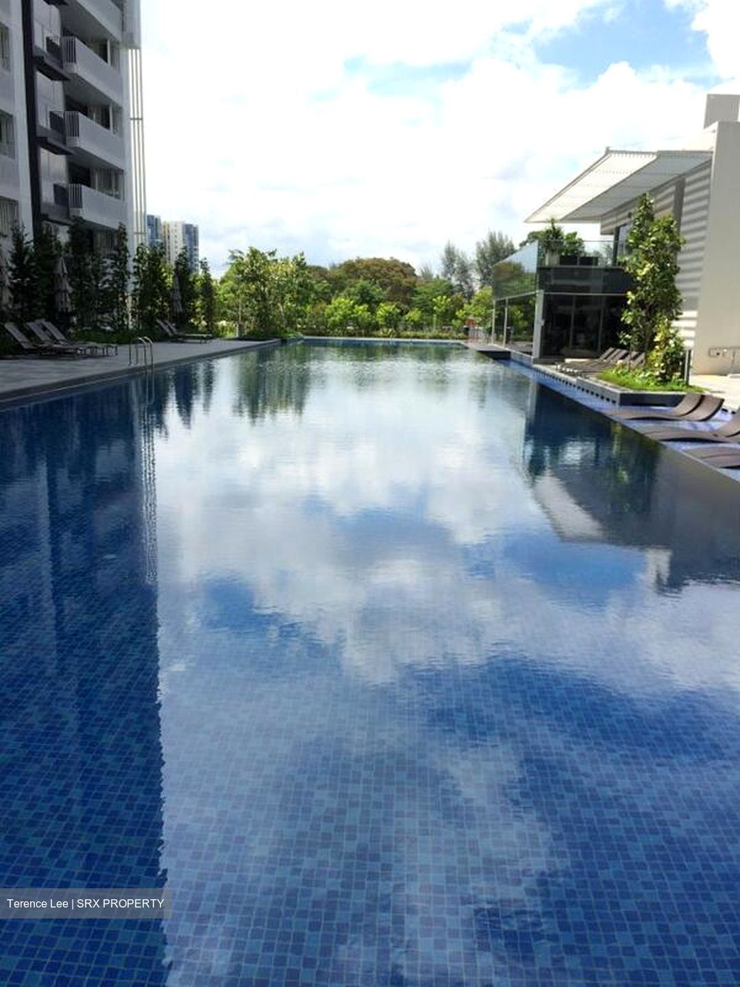 The Lakefront Residences (D22), Condominium #458662121